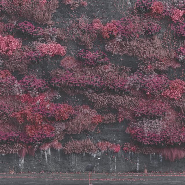 Sleep Token - Even in Arcadia